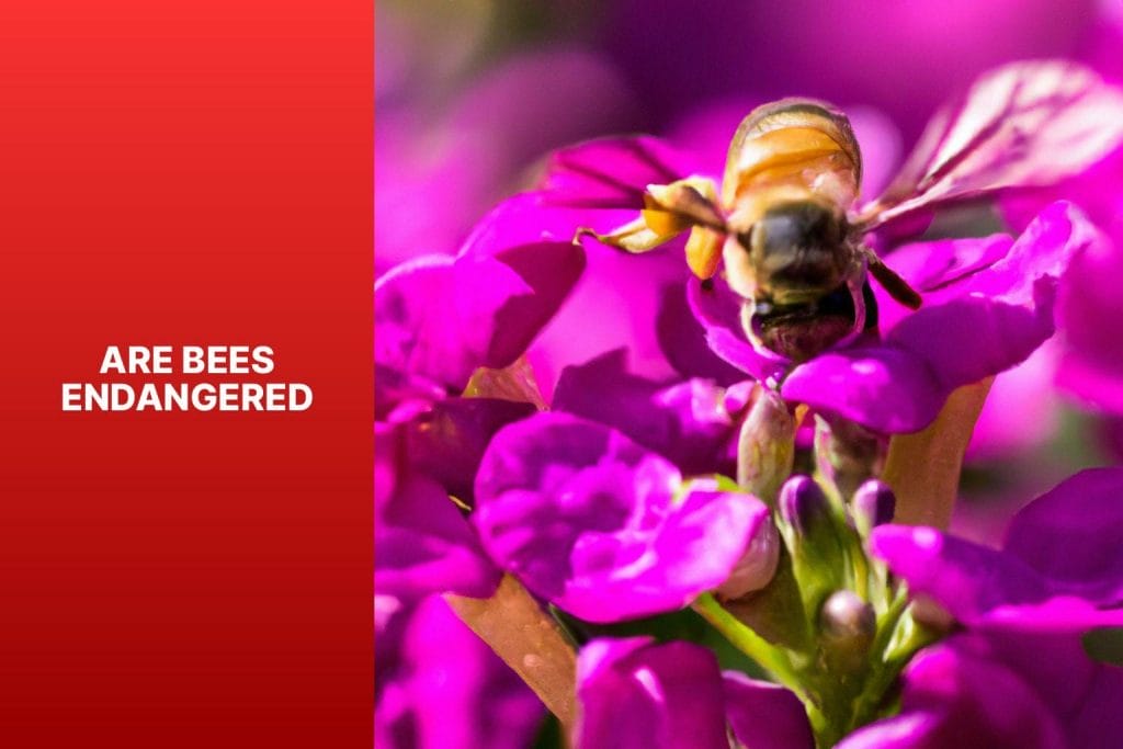 Bees endangered.