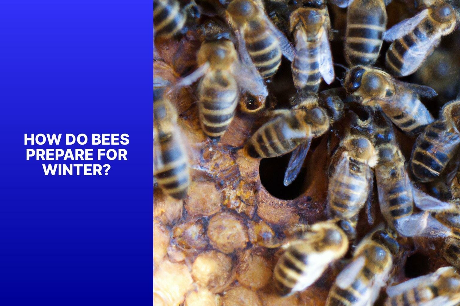 How Do Bees Prepare for Winter? - do bees die in the winter 