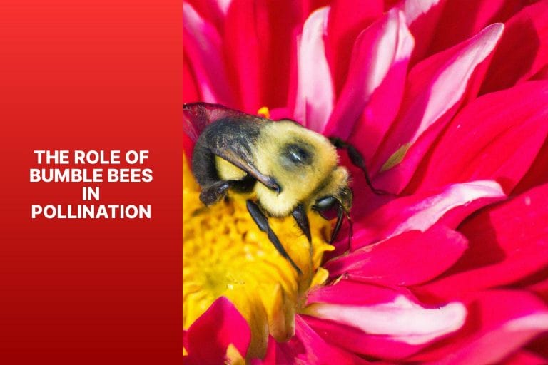The Role of Bumble Bees in Pollination - do bumble bees make honey 