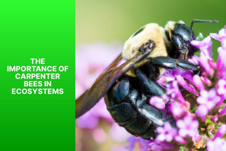 The Importance of Carpenter Bees in Ecosystems - do carpenter bees pollinate 