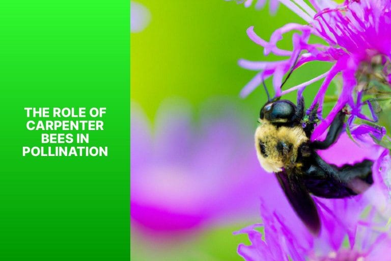 The Role of Carpenter Bees in Pollination - do carpenter bees pollinate 