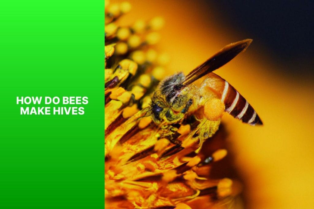 How do bees create hives?